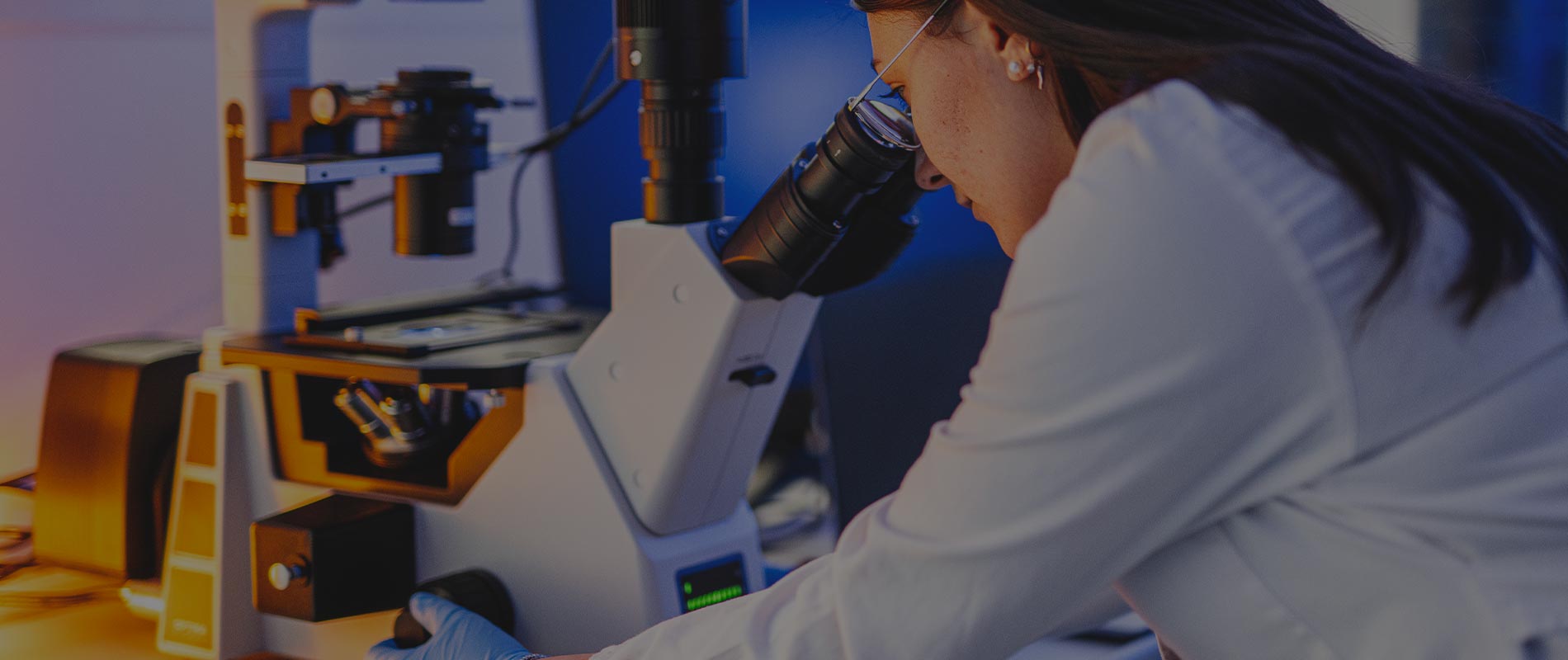 Exolab Italia – Plant Exosomes